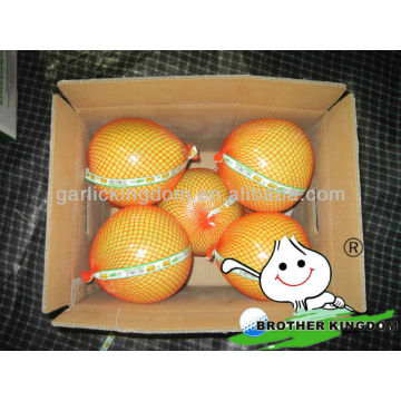 Supply honey chinese pomelo juicy good shape pomelo